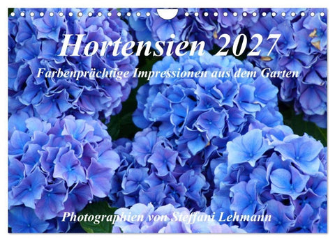 Hortensien 2027. Farbenprächtige Impressionen aus dem Garten (Wandkalender 2027 DIN A4 quer), CALVENDO Monatskalender