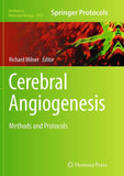 Cerebral Angiogenesis