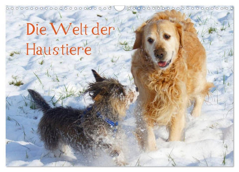 Die Welt der Haustiere (Wandkalender 2027 DIN A3 quer), CALVENDO Monatskalender