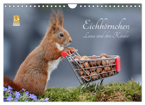 Eichhörnchen Luna und ihre Kinder (Wandkalender 2026 DIN A4 quer), CALVENDO Monatskalender