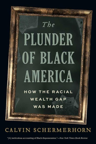 Plunder of Black America