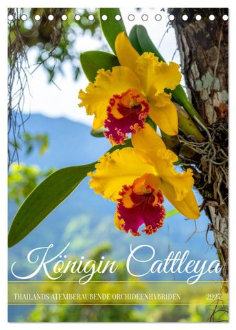 Königin Cattleya (Tischkalender 2027 DIN A5 hoch), CALVENDO Monatskalender