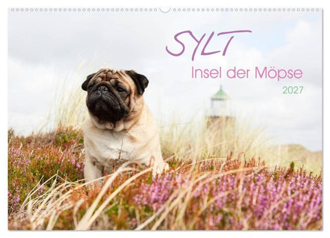 Sylt - Insel der Möpse (Wandkalender 2027 DIN A2 quer), CALVENDO Monatskalender