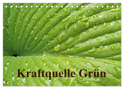Kraftquelle Grün (Tischkalender 2027 DIN A5 quer), CALVENDO Monatskalender