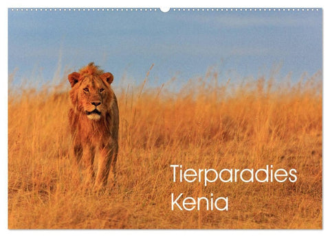 Tierparadies Kenia (Wandkalender 2027 DIN A2 quer), CALVENDO Monatskalender