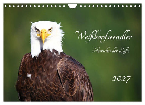 Weißkopfseeadler. Herrscher der Lüfte. 2027 (Wandkalender 2027 DIN A4 quer), CALVENDO Monatskalender