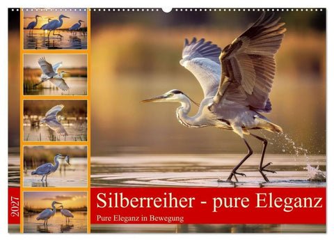 Silberreiher - pure Eleganz (Wandkalender 2027 DIN A2 quer), CALVENDO Monatskalender