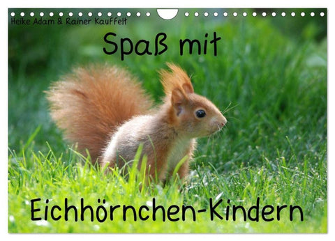 Spaß mit Eichhörnchen-Kindern (Wandkalender 2027 DIN A4 quer), CALVENDO Monatskalender