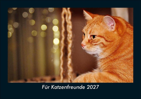 Für Katzenfreunde 2027 Fotokalender DIN A5