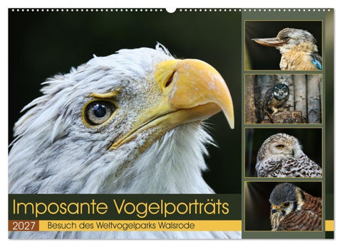 Imposante Vogelporträts (Wandkalender 2027 DIN A2 quer), CALVENDO Monatskalender