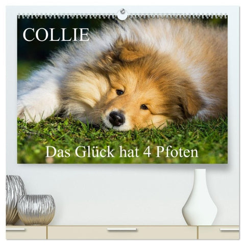 Collie - Das Glück hat 4 Pfoten (hochwertiger Premium Wandkalender 2027 DIN A2 quer), Kunstdruck in Hochglanz