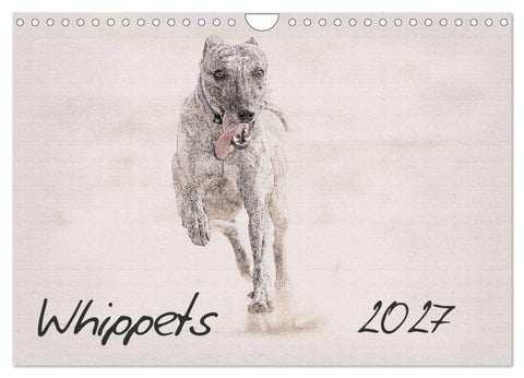 Whippets 2027 (Wall Calendar 2027 DIN A4 landscape), CALVENDO 12 Month Wall Calendar