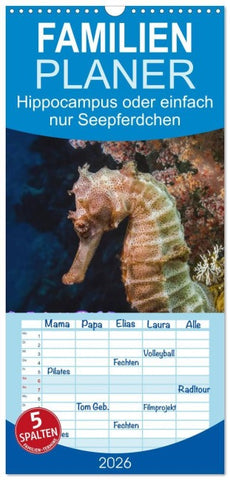 Familienplaner 2026 - Hippocampus oder einfach nur Seepferdchen mit 5 Spalten (Wandkalender, 21 x 45 cm) CALVENDO