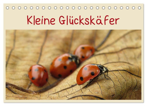 Kleine Glückskäfer (Tischkalender 2026 DIN A5 quer), CALVENDO Monatskalender
