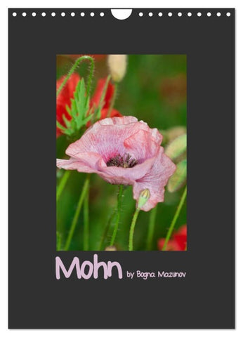 Mohn (Wandkalender 2027 DIN A4 hoch), CALVENDO Monatskalender
