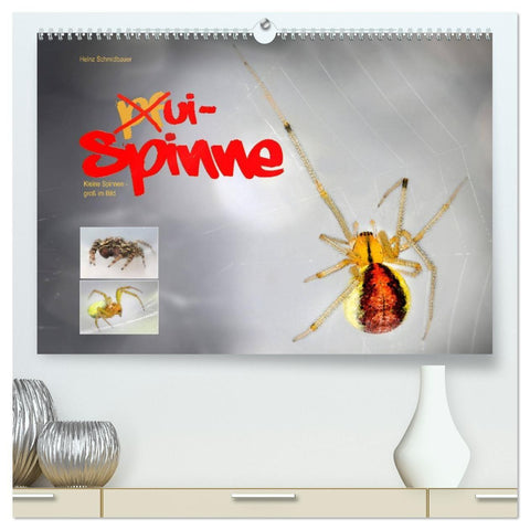 ui - Spinne. Kleine Spinnen - groß im Bild (hochwertiger Premium Wandkalender 2027 DIN A2 quer), Kunstdruck in Hochglanz