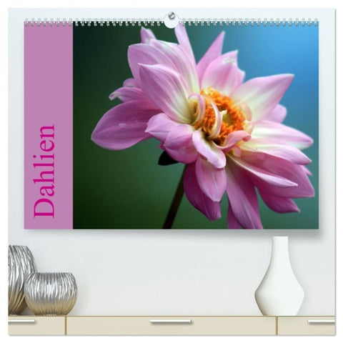 Dahlien (hochwertiger Premium Wandkalender 2027 DIN A2 quer), Kunstdruck in Hochglanz