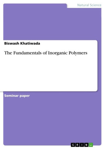 The Fundamentals of Inorganic Polymers
