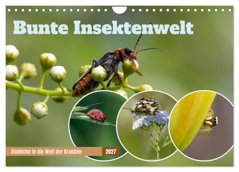 Bunte Insektenwelt (Wandkalender 2027 DIN A4 quer), CALVENDO Monatskalender
