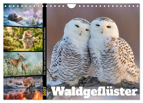 Waldgeflüster (Wandkalender 2027 DIN A4 quer), CALVENDO Monatskalender