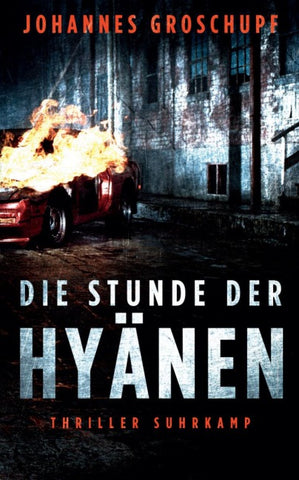 Die Stunde der Hyänen - Thriller (Berlin Noir 3)