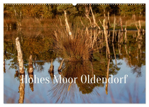 Hohes Moor Oldendorf (Wandkalender 2027 DIN A2 quer), CALVENDO Monatskalender