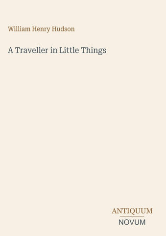 A Traveller in Little Things