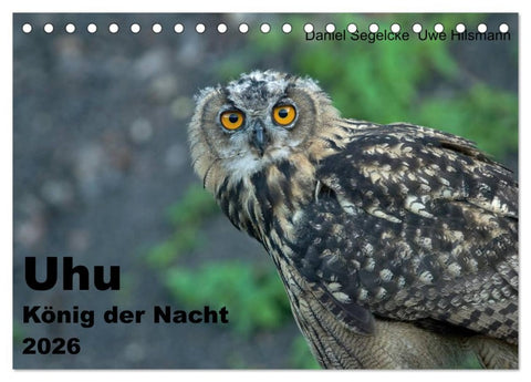 Uhu - König der Nacht (Tischkalender 2026 DIN A5 quer), CALVENDO Monatskalender
