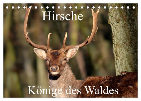 Hirsche - Könige des Waldes/Geburtstagskalender (Tischkalender 2026 DIN A5 quer), CALVENDO Monatskalender