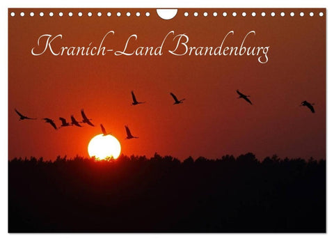 Kranich-Land Brandenburg (Wandkalender 2026 DIN A4 quer), CALVENDO Monatskalender