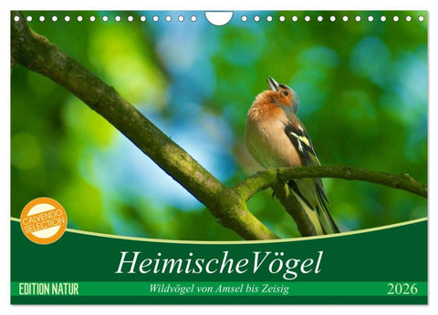 Heimische Vögel (Wandkalender 2026 DIN A4 quer), CALVENDO Monatskalender