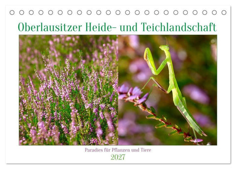 Oberlausitzer Heide- und Teichlandschaft (Tischkalender 2027 DIN A5 quer), CALVENDO Monatskalender