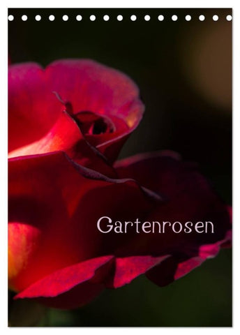 Gartenrosen (Tischkalender 2027 DIN A5 hoch), CALVENDO Monatskalender