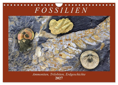 Fossilien - Ammoniten, Trilobiten, Erdgeschichte (Wandkalender 2027 DIN A4 quer), CALVENDO Monatskalender