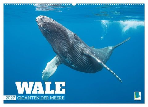 Wale: Giganten der Meere (Wandkalender 2027 DIN A2 quer), CALVENDO Monatskalender