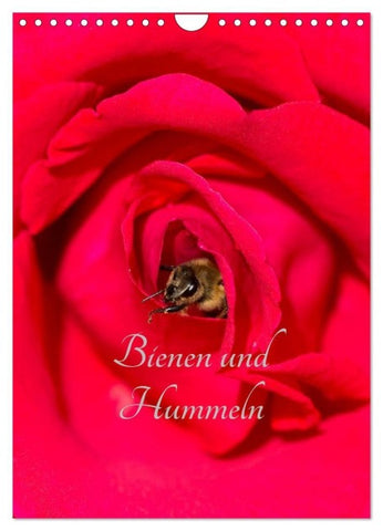 Bienen und Hummeln (Wandkalender 2027 DIN A4 hoch), CALVENDO Monatskalender
