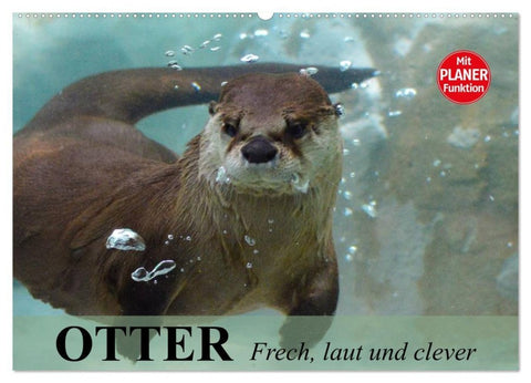 Otter. Frech, laut und clever (Wandkalender 2027 DIN A2 quer), CALVENDO Monatskalender