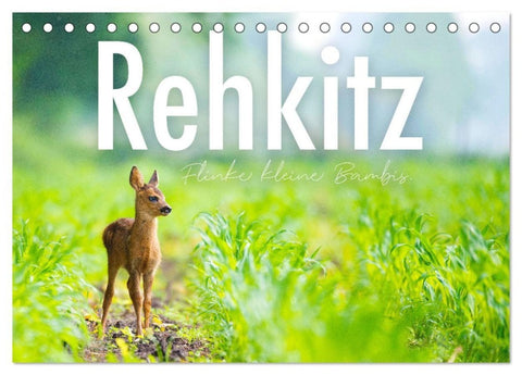 Rehkitz - Flinke kleine Bambis. (Tischkalender 2027 DIN A5 quer), CALVENDO Monatskalender
