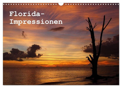 Florida Impressionen (Wandkalender 2027 DIN A3 quer), CALVENDO Monatskalender