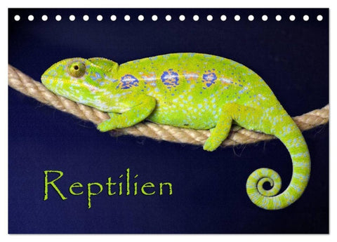 Reptilien (Tischkalender 2027 DIN A5 quer), CALVENDO Monatskalender