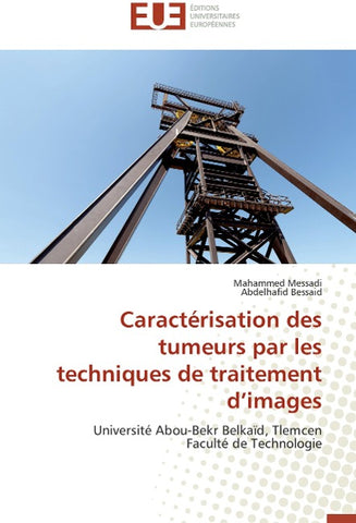 Caractérisation des tumeurs par les techniques de traitement d'images