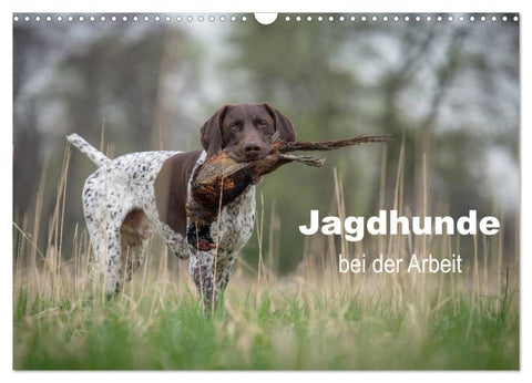Jagdhunde bei der Arbeit (Wandkalender 2027 DIN A3 quer), CALVENDO Monatskalender