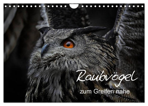 Raubvögel zum Greifen nahe (Wandkalender 2027 DIN A4 quer), CALVENDO Monatskalender