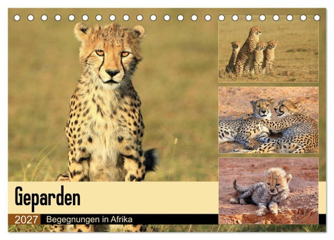 Geparden - Begegnungen in Afrika (Tischkalender 2027 DIN A5 quer), CALVENDO Monatskalender