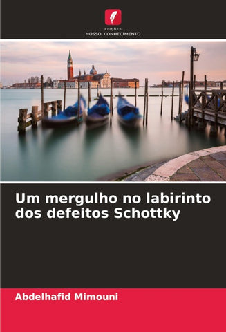 Um mergulho no labirinto dos defeitos Schottky