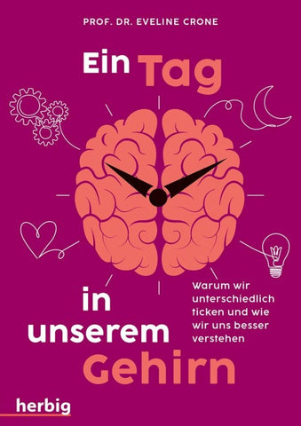 Ein Tag in unserem Gehirn