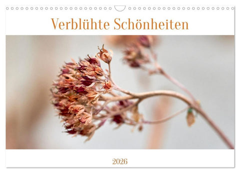 Verblühte Schönheiten (Wandkalender 2026 DIN A3 quer), CALVENDO Monatskalender