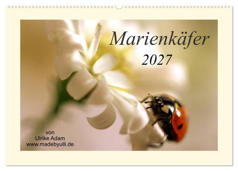 Marienkäfer / 2027 (Wandkalender 2027 DIN A2 quer), CALVENDO Monatskalender
