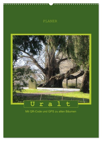 Uralt - Mit QR-Code und GPS zu alten Bäumen (Wandkalender 2027 DIN A2 hoch), CALVENDO Monatskalender