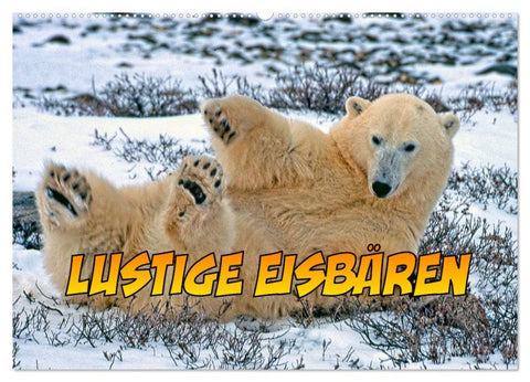 Lustige Eisbären (Wandkalender 2026 DIN A2 quer), CALVENDO Monatskalender
